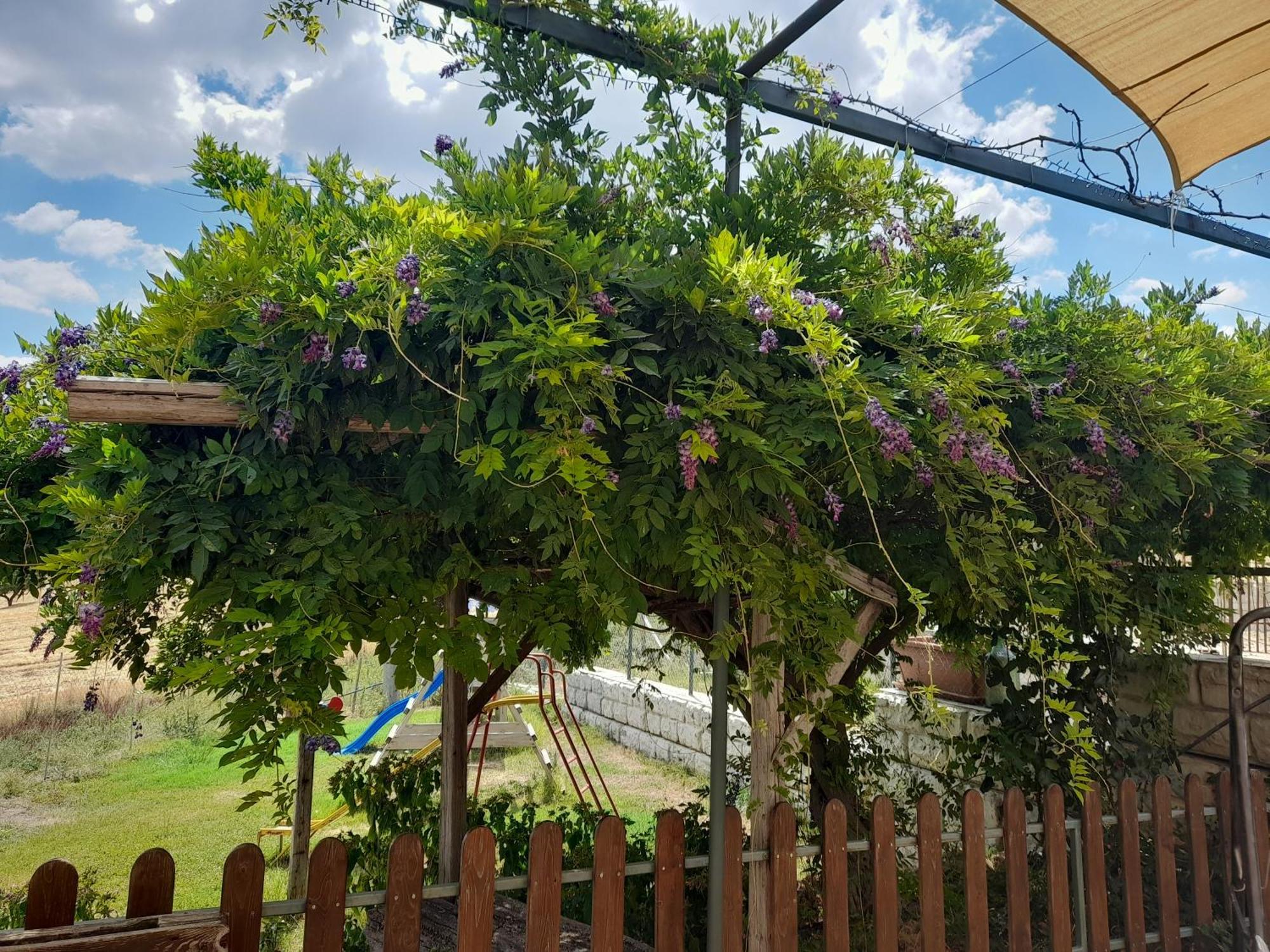 Agriturismo La Stragola Nicosia Ngoại thất bức ảnh